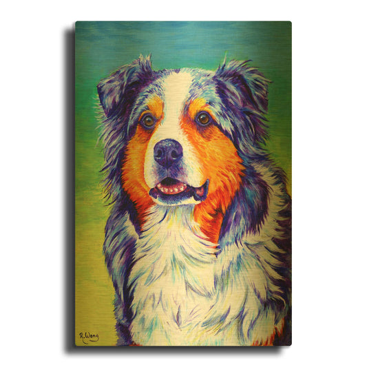 'Blue Merle Australian Shepherd' By Rebecca Wang Art Gold Metal Wall Art