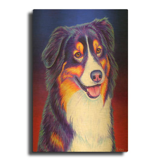 'Colorful Triolor Australian Shepherd' By Rebecca Wang Art Gold Metal Wall Art