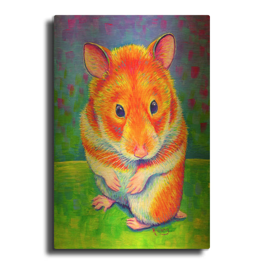 'Rainbow Hamster' By Rebecca Wang Art Gold Metal Wall Art
