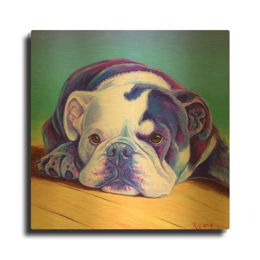 'Sweet English Bulldog' By Rebecca Wang Art Gold Metal Wall Art