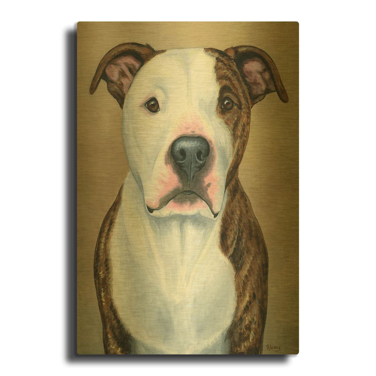 'Brindle and White Pitbull Terrier' By Rebecca Wang Art Gold Metal Wall Art