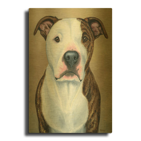 'Brindle and White Pitbull Terrier' By Rebecca Wang Art Gold Metal Wall Art