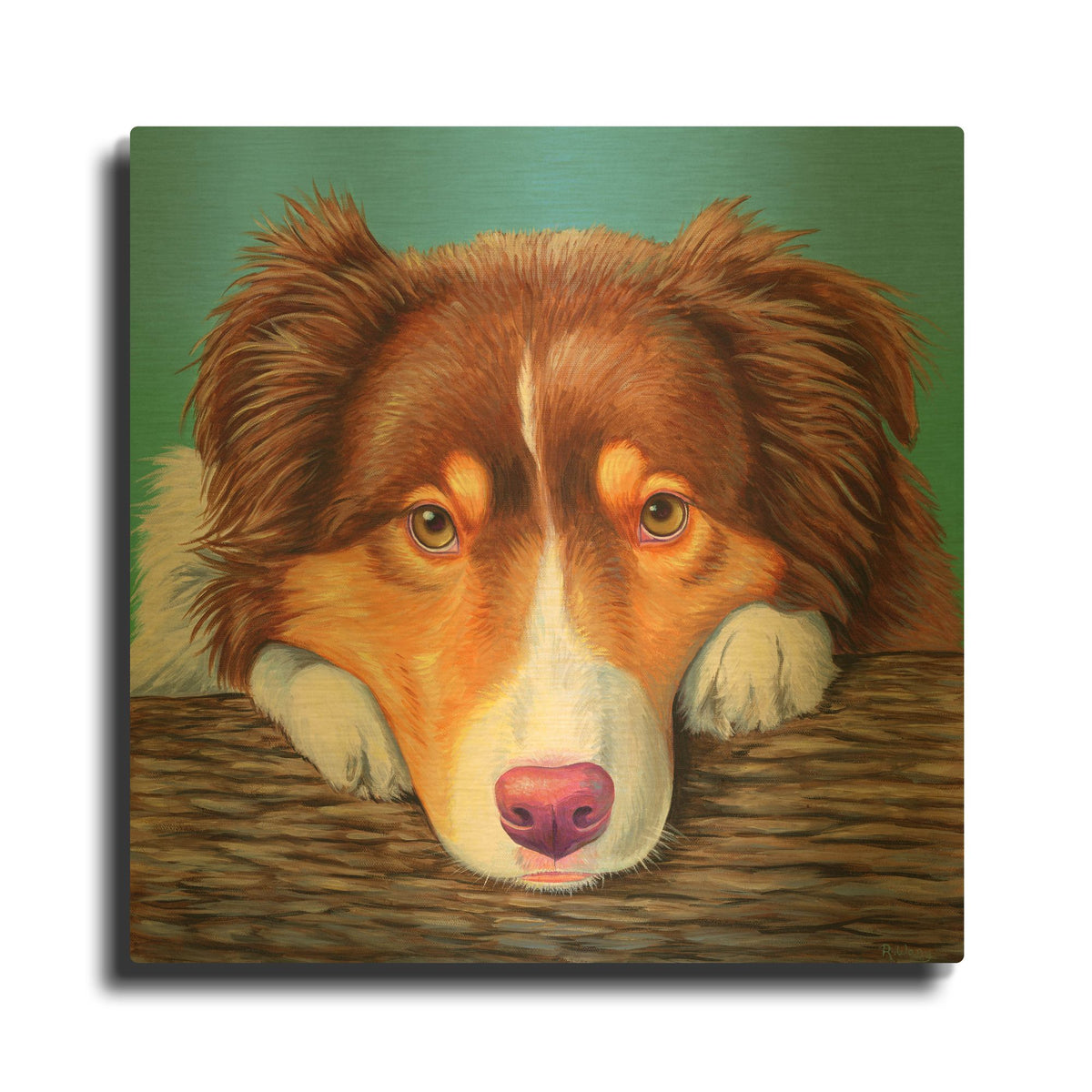'Red Tricolor Australian Shepherd' By Rebecca Wang Art Gold Metal Wall Art
