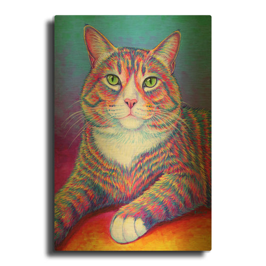 'Rainbow Brown and White Tabby Cat' By Rebecca Wang Art Gold Metal Wall Art