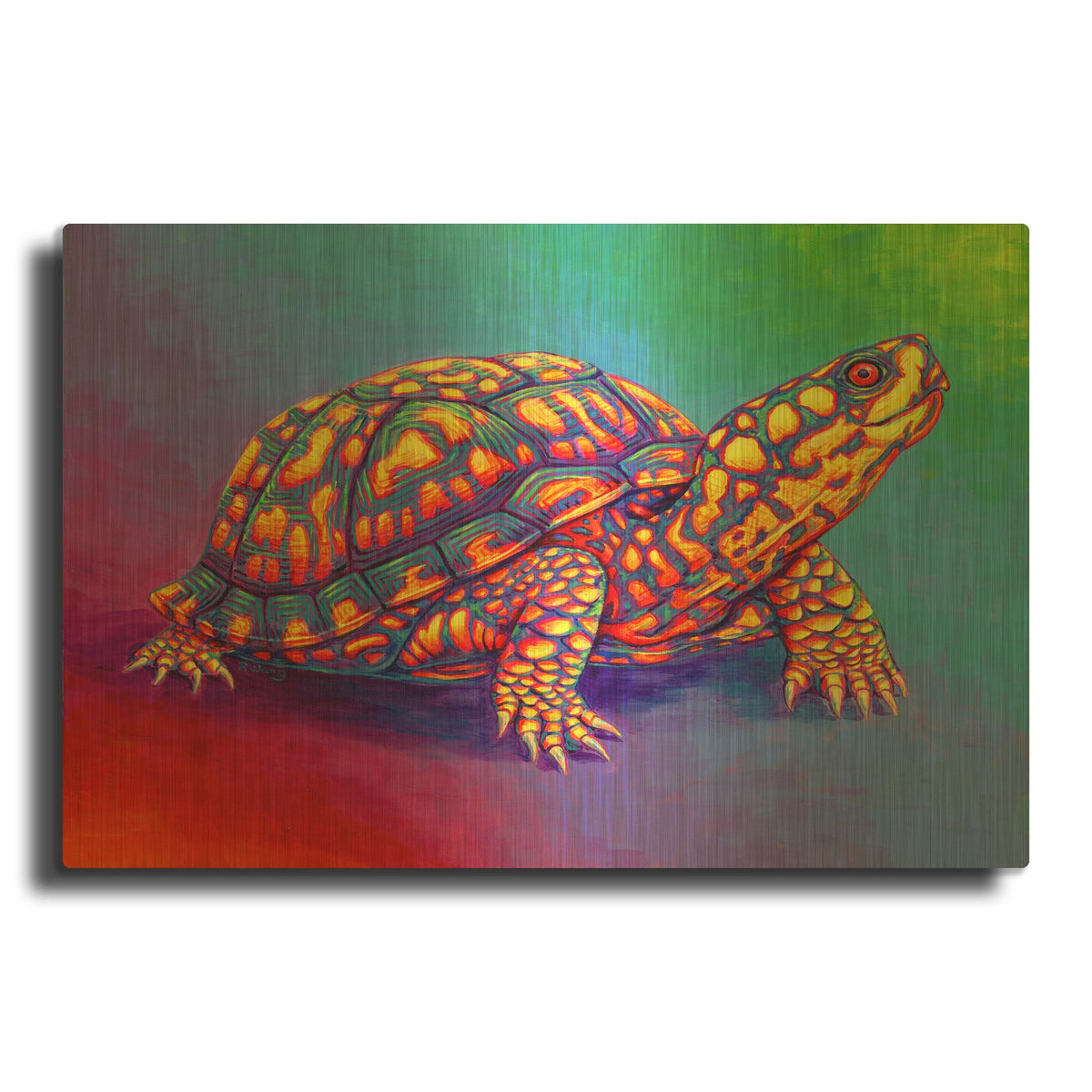 'Rainbow Eastern Box Turtle' By Rebecca Wang Art Gold Metal Wall Art