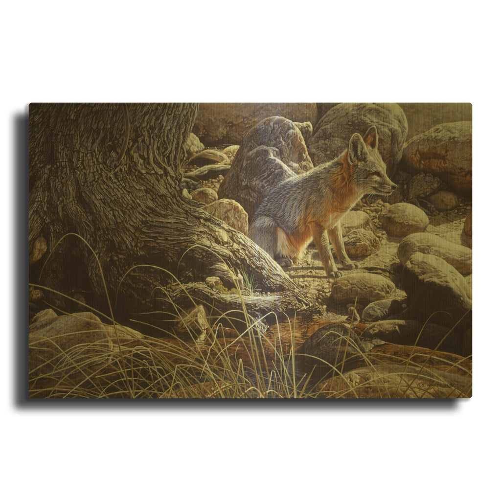 'Desert Respite-Kit Fox' By Ron Parker Gold Metal Wall Art