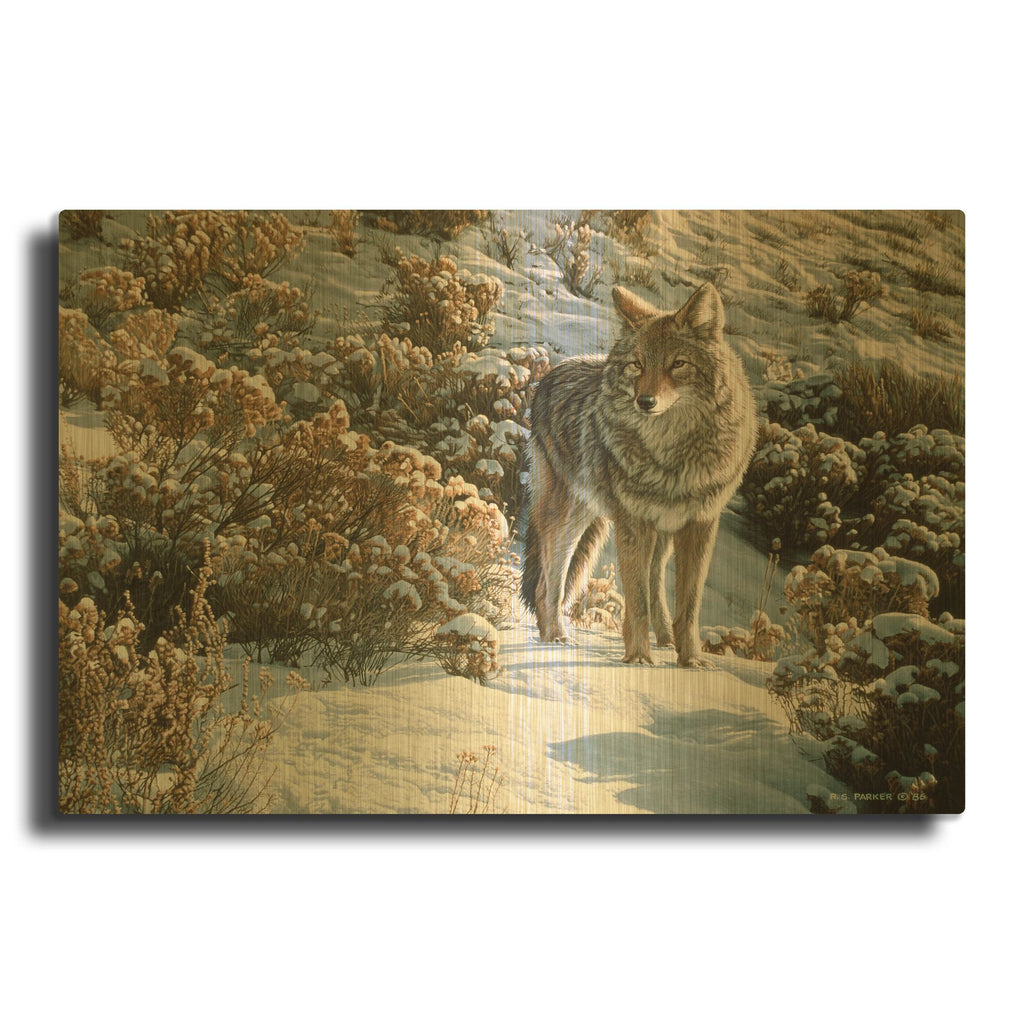 'Winter Sage-Coyote' By Ron Parker Gold Metal Wall Art