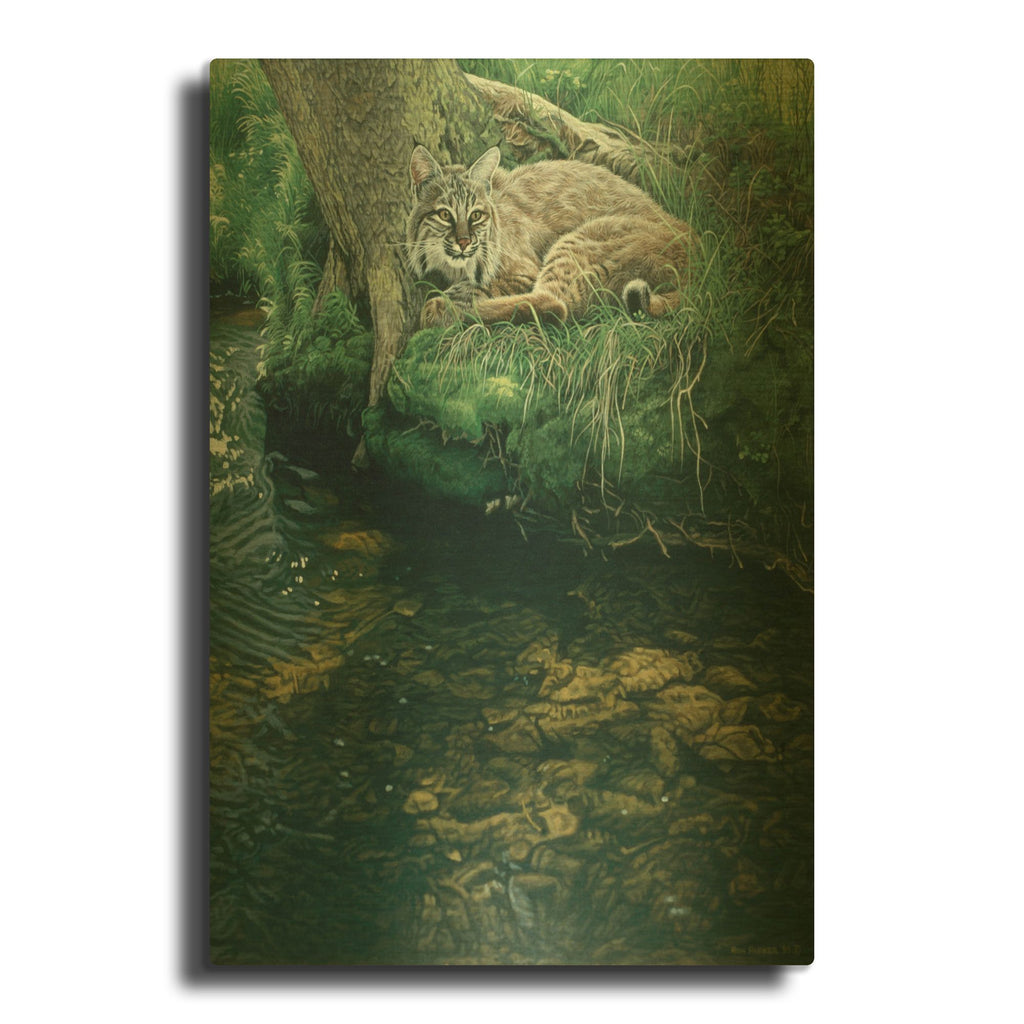 'Summer Stream Bank' By Ron Parker Gold Metal Wall Art
