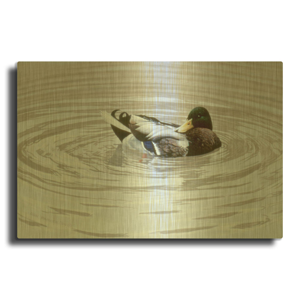 'Preening' By Ron Parker Gold Metal Wall Art