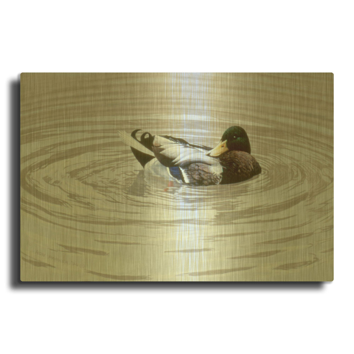 'Preening' By Ron Parker Gold Metal Wall Art