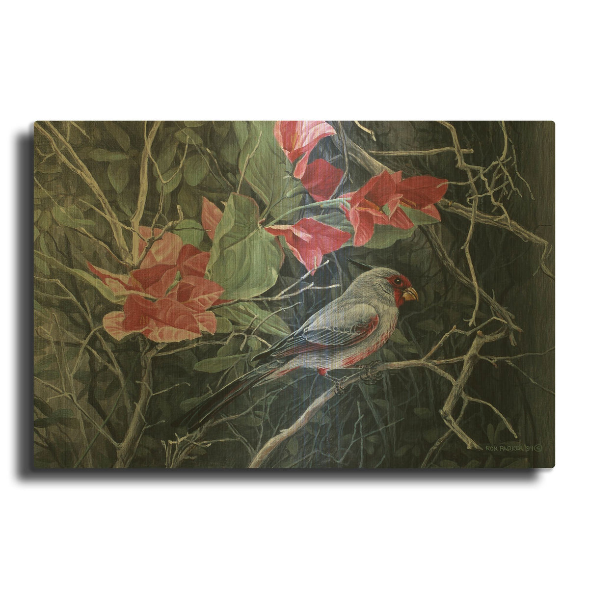 'Pyrrhuloxia' By Ron Parker Gold Metal Wall Art