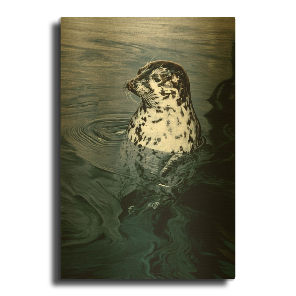 'Harbor Seal' By Ron Parker Gold Metal Wall Art