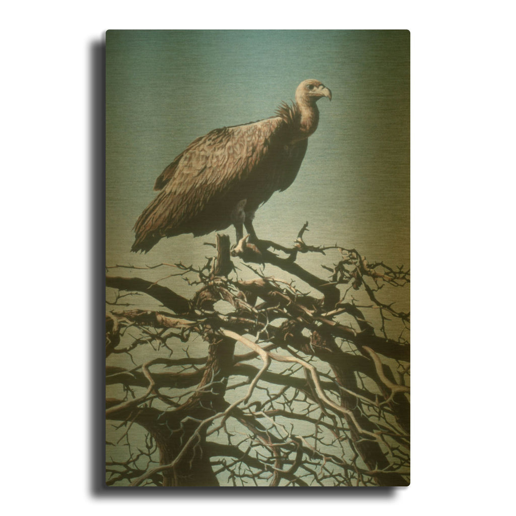 'Vulture' By Ron Parker Gold Metal Wall Art