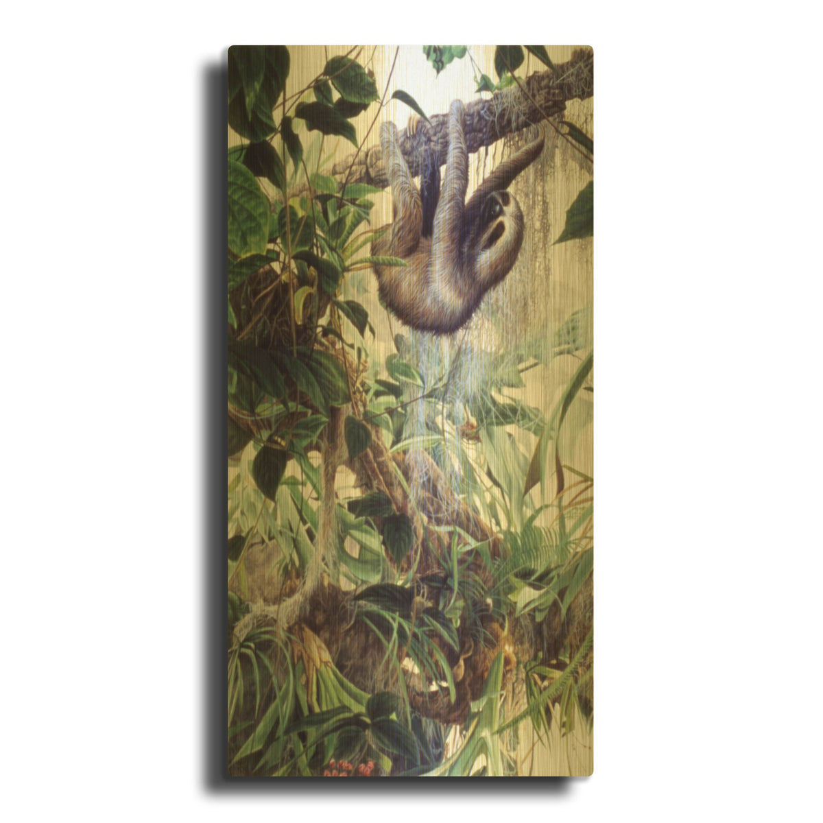 'Sloth' By Ron Parker Gold Metal Wall Art