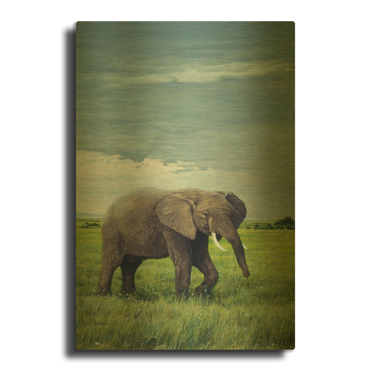 'Elephant' By Ron Parker Gold Metal Wall Art