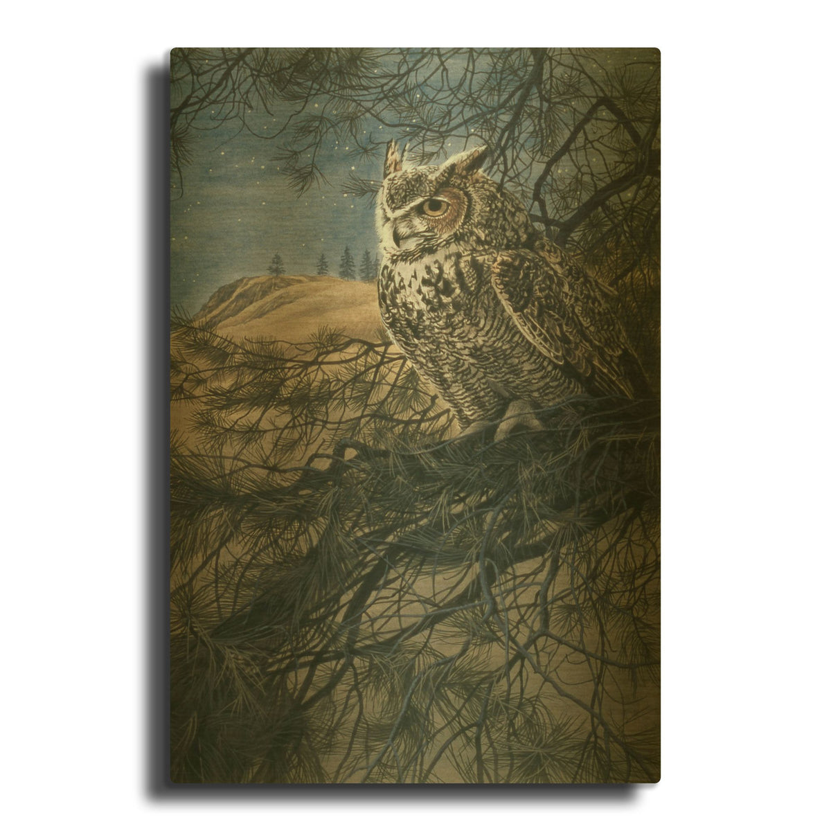 'Great Horned Owl 2' By Ron Parker Gold Metal Wall Art