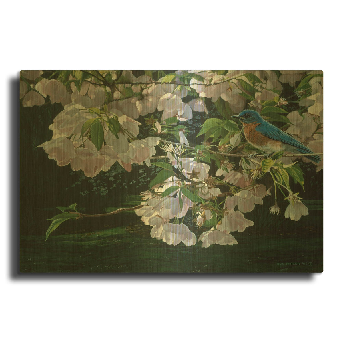 'Cherry Blossoms' By Ron Parker Gold Metal Wall Art