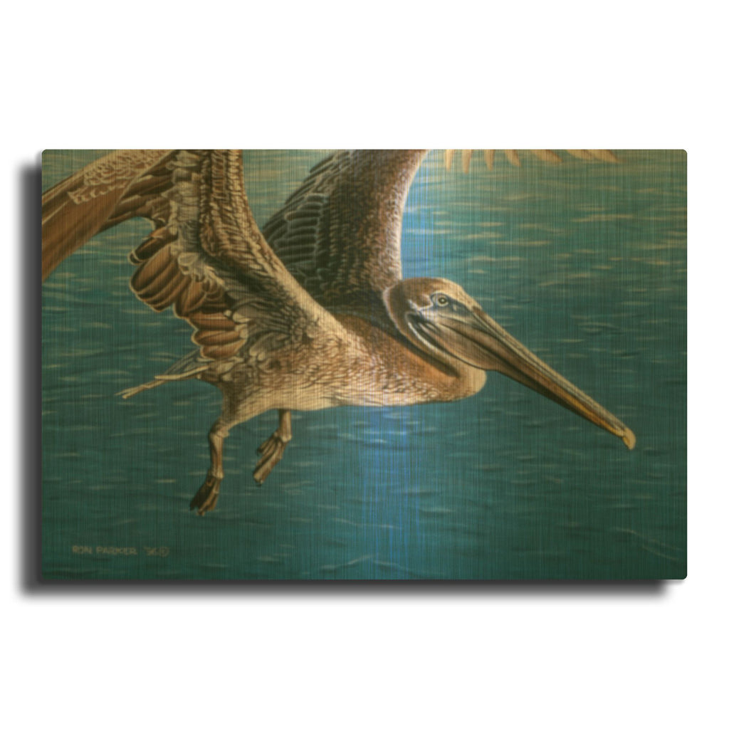 'Flying Pelican' By Ron Parker Gold Metal Wall Art