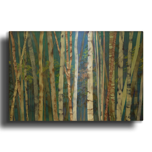 'Mystery Of Trees-Birches' By Sharon Pitts Gold Metal Wall Art