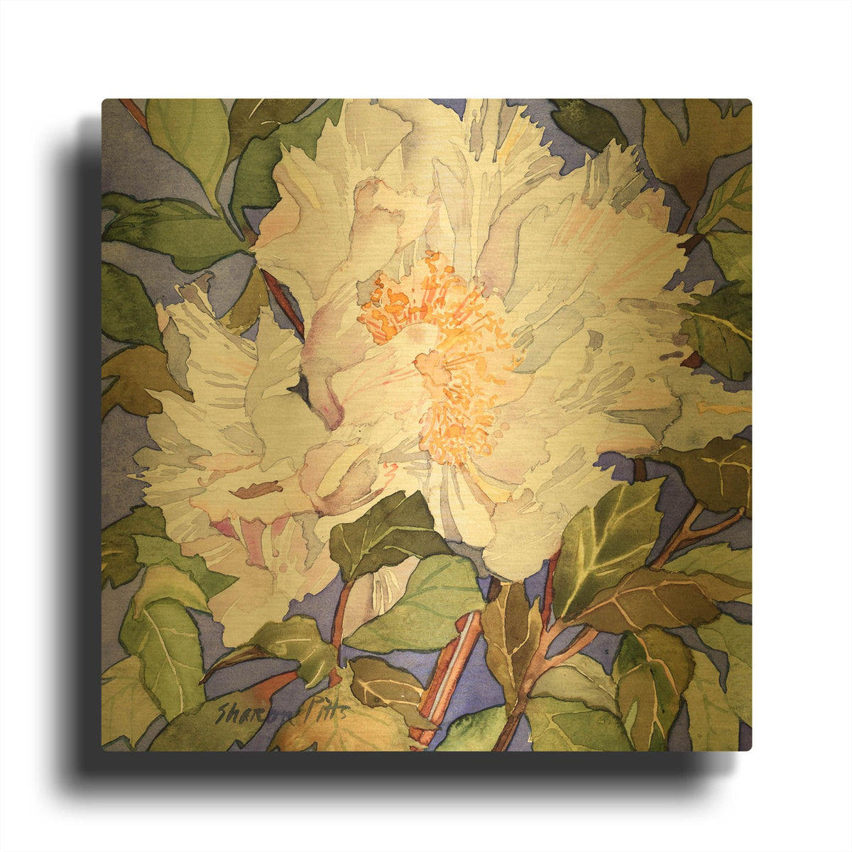 'White Peony' By Sharon Pitts Gold Metal Wall Art