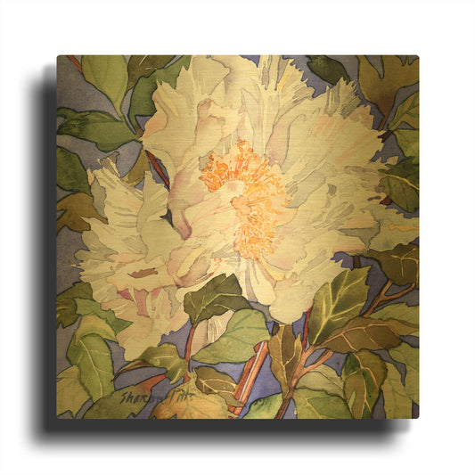 'White Peony' By Sharon Pitts Gold Metal Wall Art