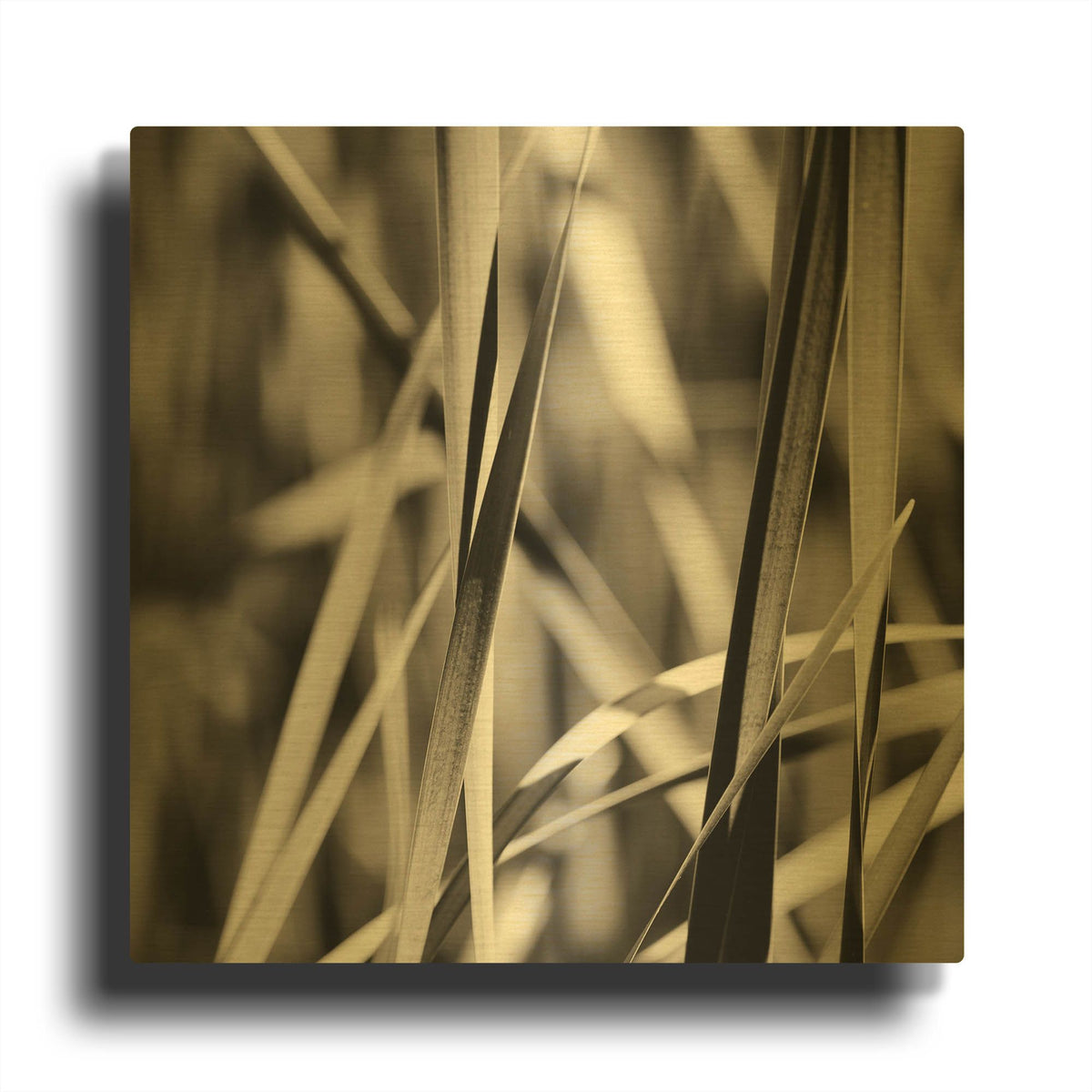 'Leaves BW 01' By Tom Quartermaine Gold Metal Wall Art
