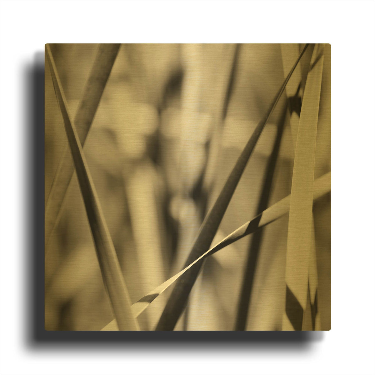 'Leaves BW 02' By Tom Quartermaine Gold Metal Wall Art