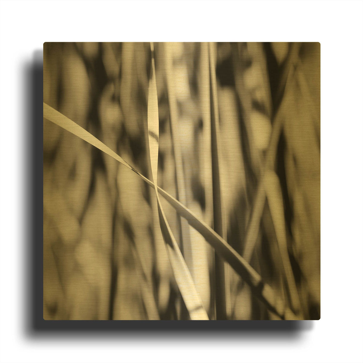 'Leaves BW 03' By Tom Quartermaine Gold Metal Wall Art