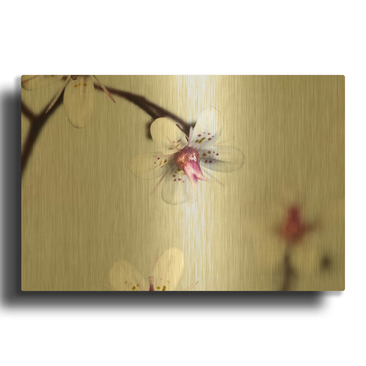 'Little Flowers on Grey' By Tom Quartermaine Gold Metal Wall Art