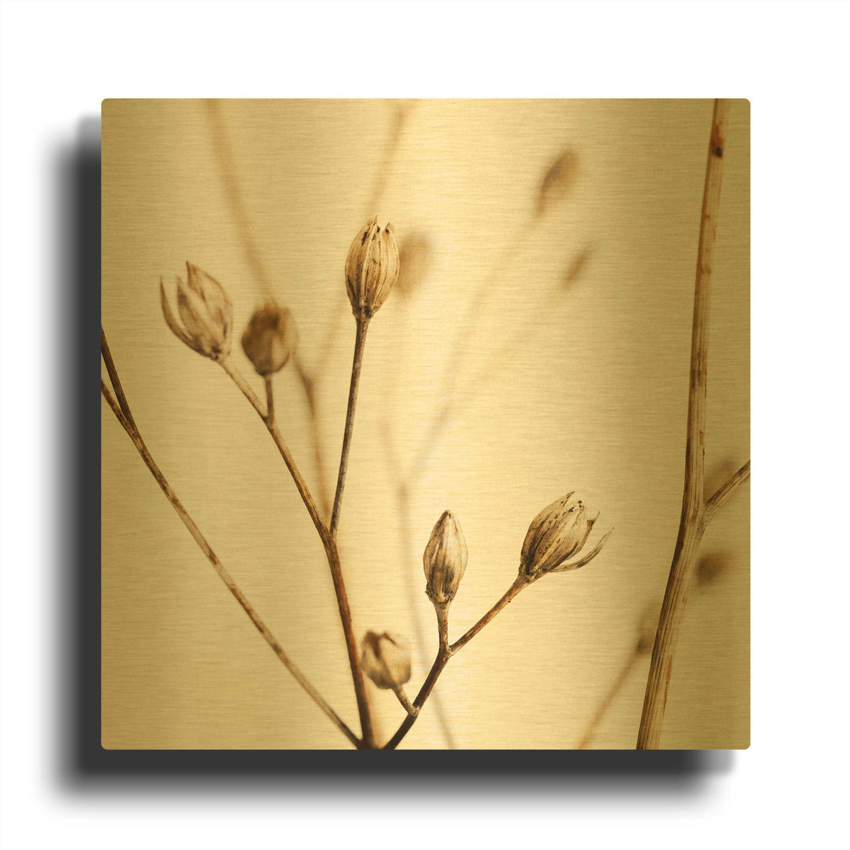 'Little Sepia Flowers' By Tom Quartermaine Gold Metal Wall Art