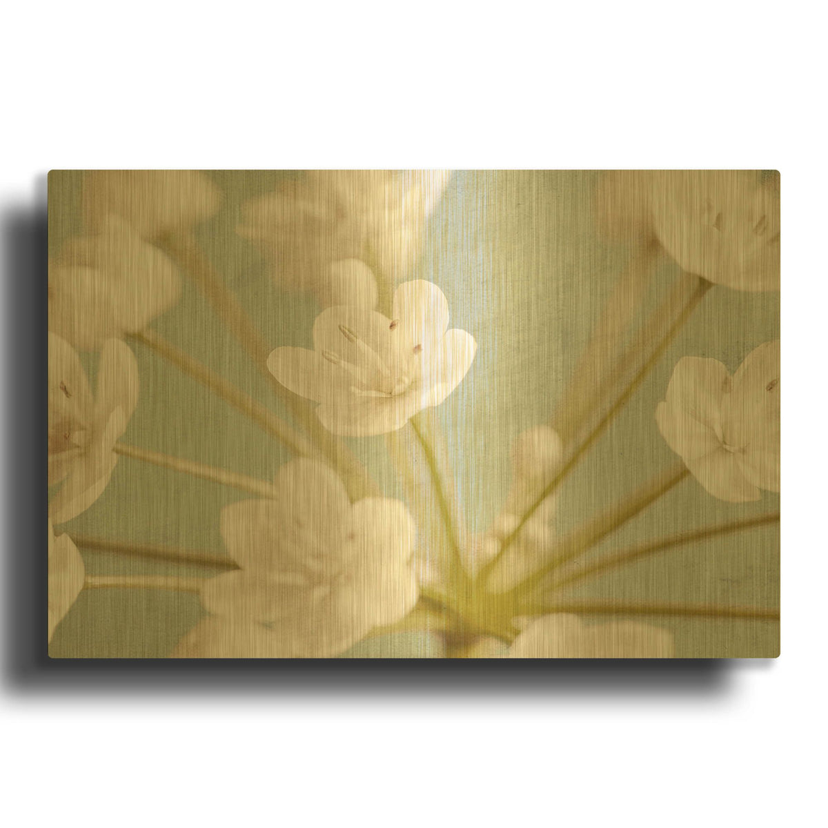 'Little White Flowers on Blue' By Tom Quartermaine Gold Metal Wall Art