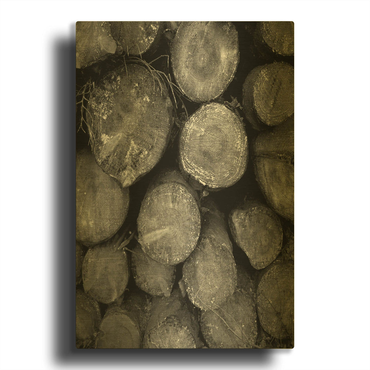 'Logs BW' By Tom Quartermaine Gold Metal Wall Art