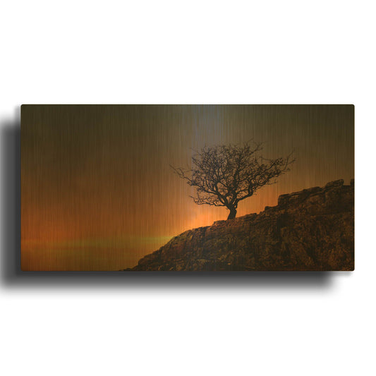 'Lone Tree in Sunset' By Tom Quartermaine Gold Metal Wall Art