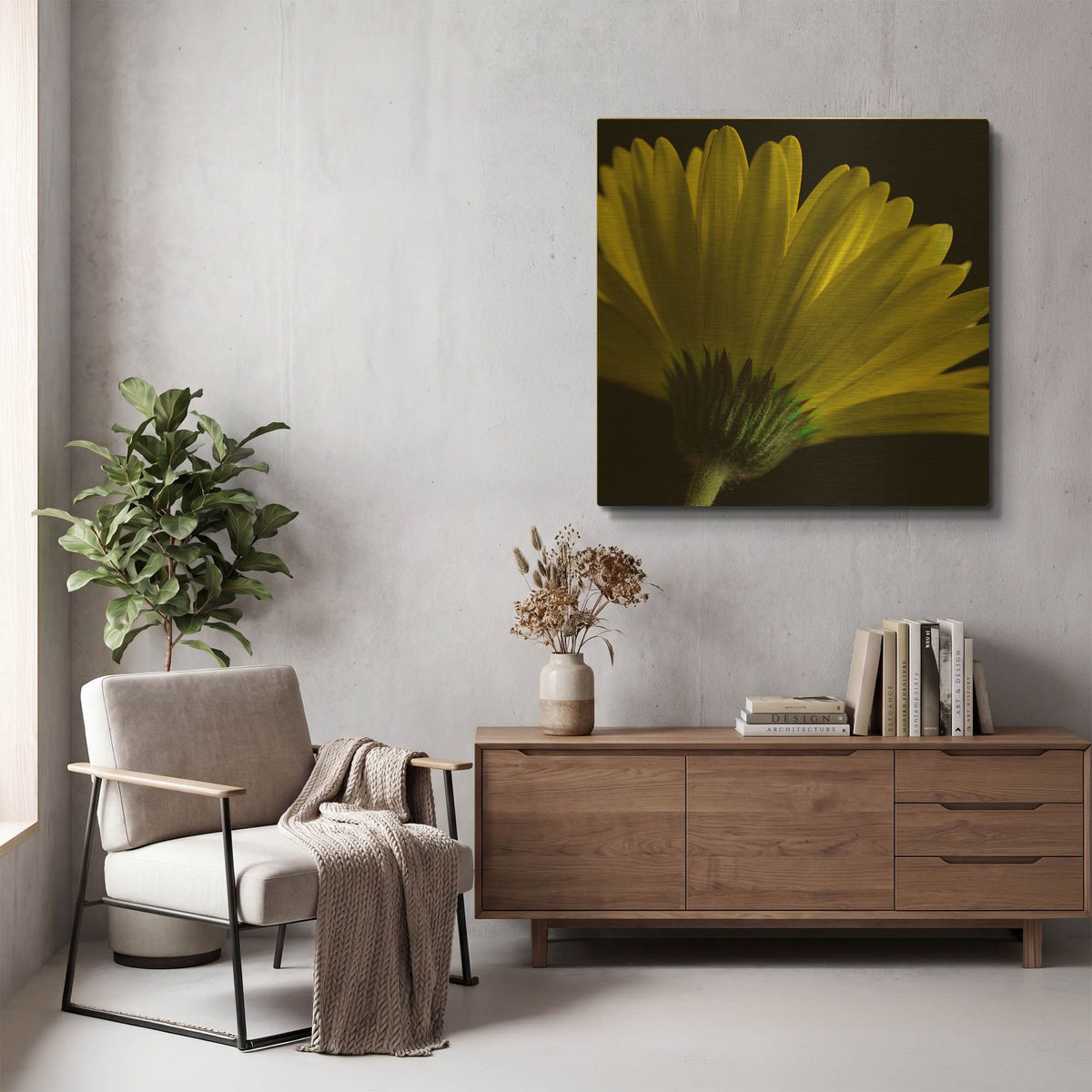 'Mustard Gerbera on Black' By Tom Quartermaine Gold Metal Wall Art