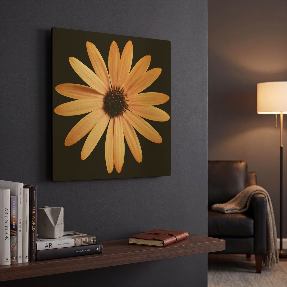 'Osteospurmum on Black 01' By Tom Quartermaine Gold Metal Wall Art