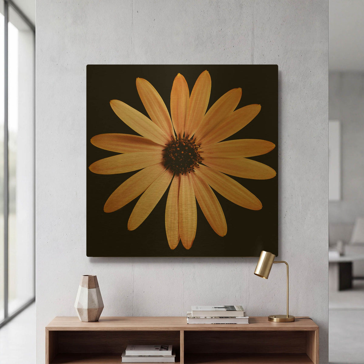 'Osteospurmum on Black 01' By Tom Quartermaine Gold Metal Wall Art