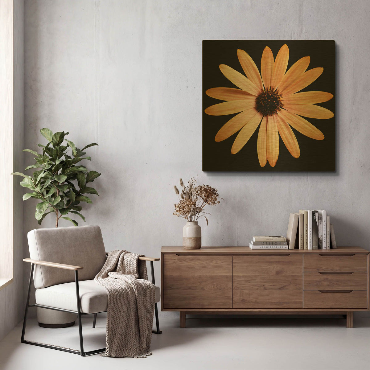 'Osteospurmum on Black 01' By Tom Quartermaine Gold Metal Wall Art