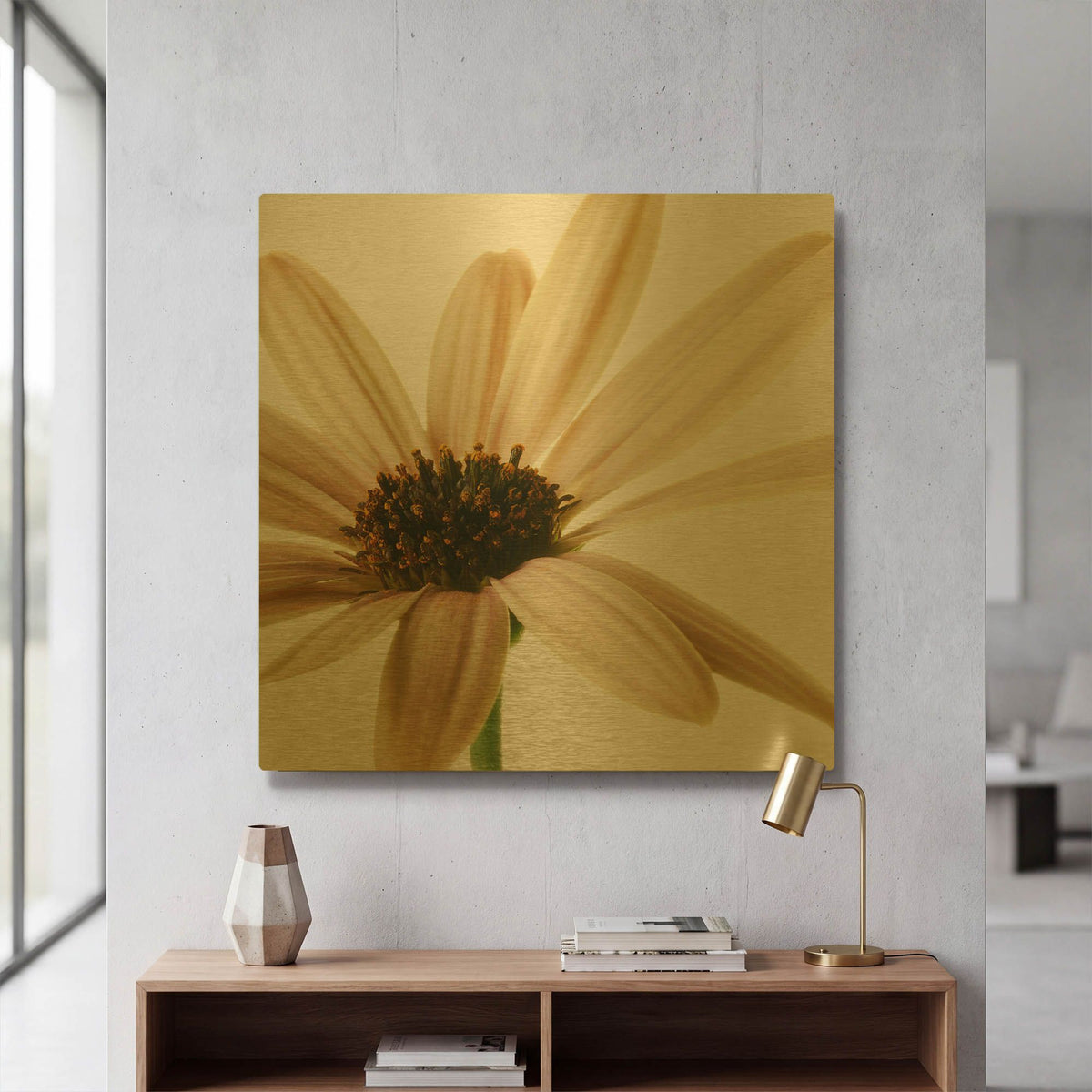 'Osteospurmum on White 01' By Tom Quartermaine Gold Metal Wall Art