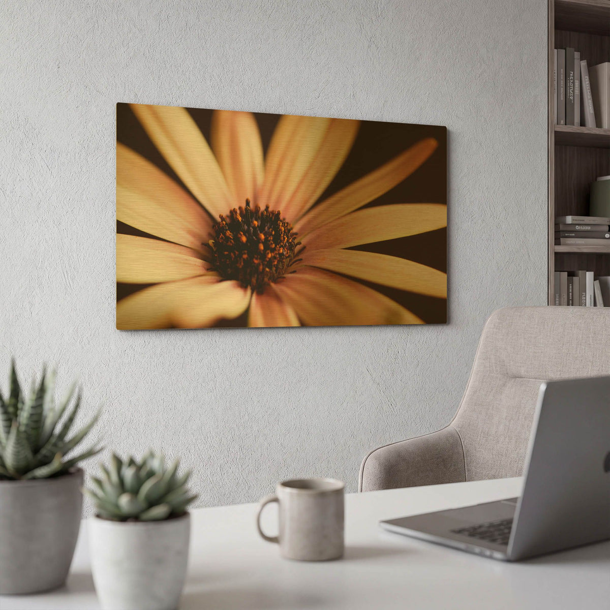 'Osteospurmum on Black 02' By Tom Quartermaine Gold Metal Wall Art