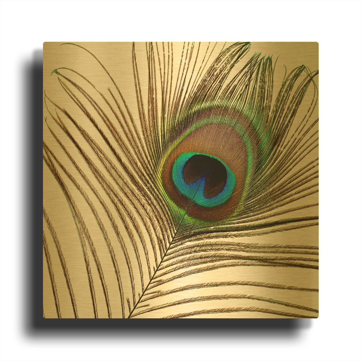'Peacock Feather 01' By Tom Quartermaine Gold Metal Wall Art