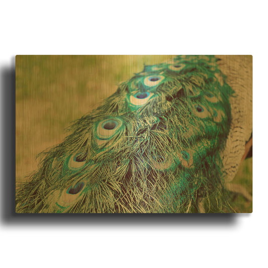 'Peacock Feather Tail 01' By Tom Quartermaine Gold Metal Wall Art