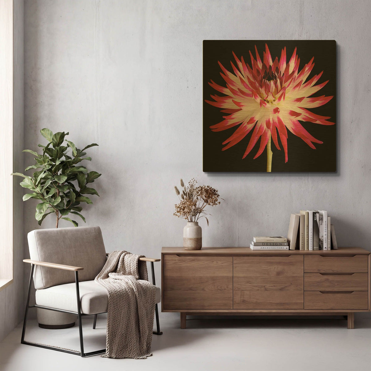 'Pink and White Dahlia on Black' By Tom Quartermaine Gold Metal Wall Art