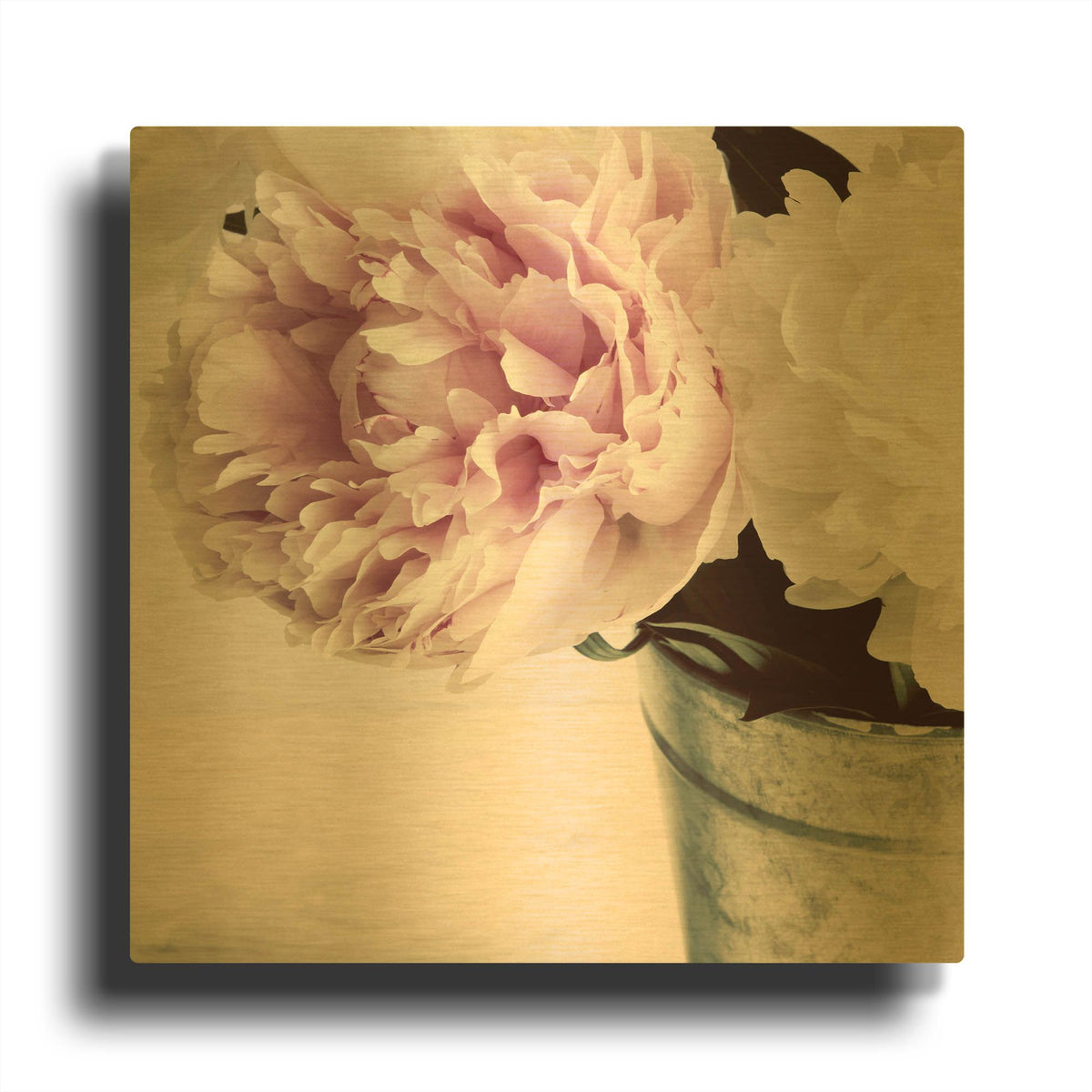 'Pink and White Peonies in a Vase' By Tom Quartermaine Gold Metal Wall Art