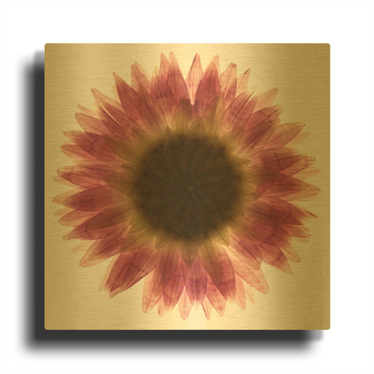 'Pink Flower on White 01' By Tom Quartermaine Gold Metal Wall Art
