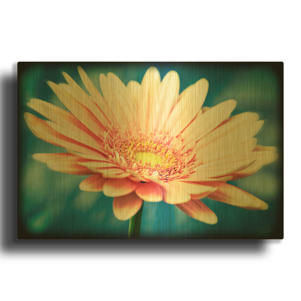 'Pink Flower with Frame' By Tom Quartermaine Gold Metal Wall Art