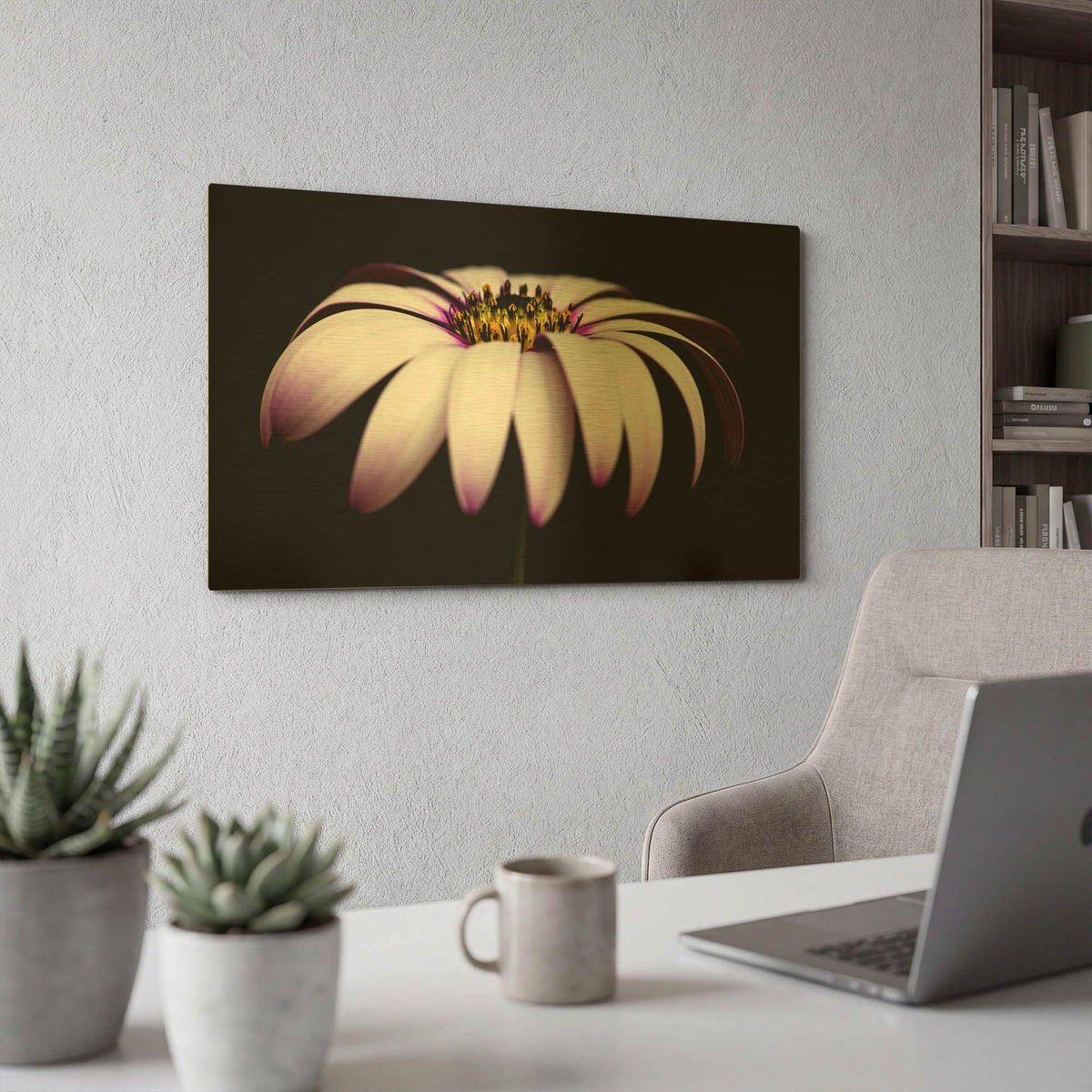 'Pink Osteospurmum on Black Panoramic' By Tom Quartermaine Gold Metal Wall Art