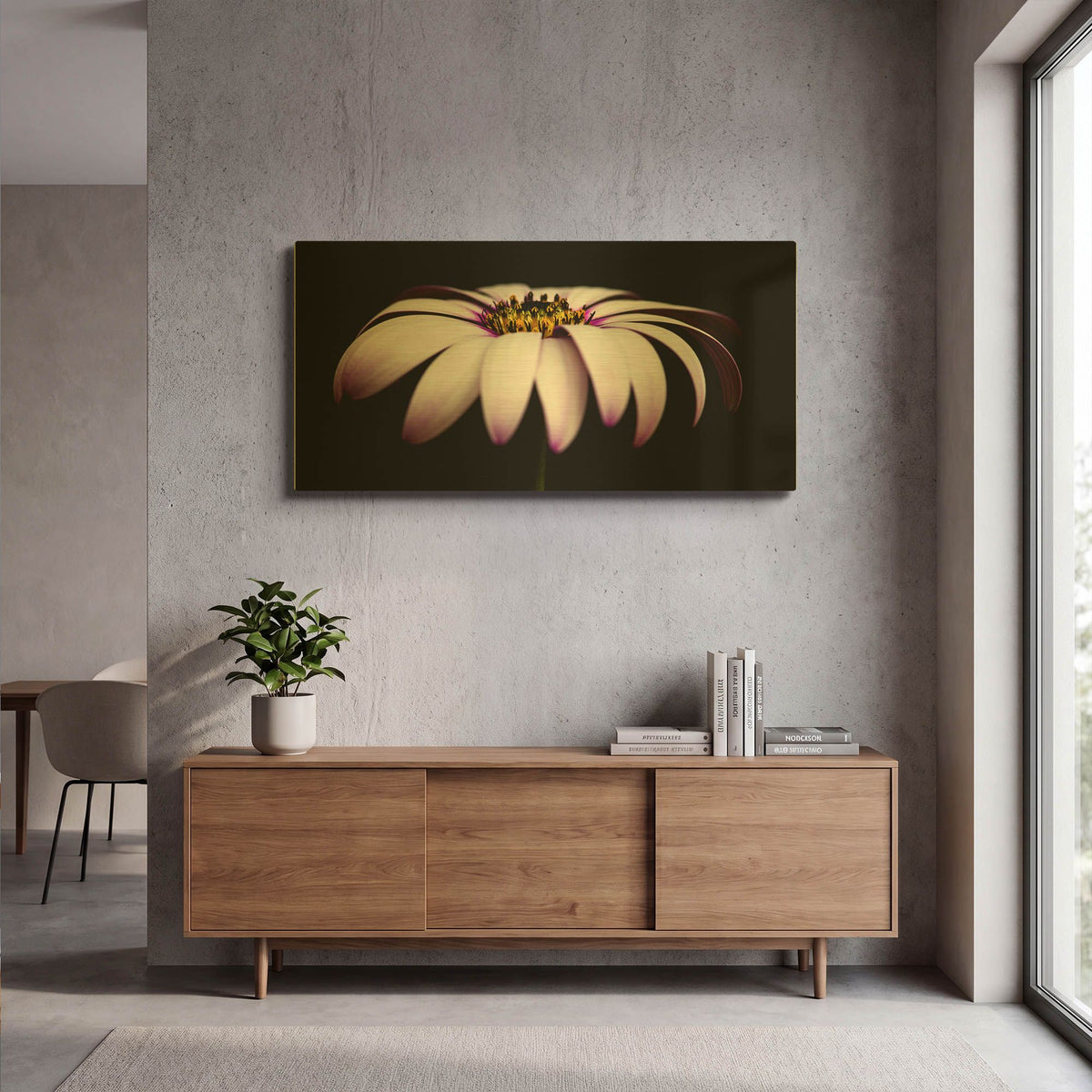 'Pink Osteospurmum on Black Panoramic' By Tom Quartermaine Gold Metal Wall Art
