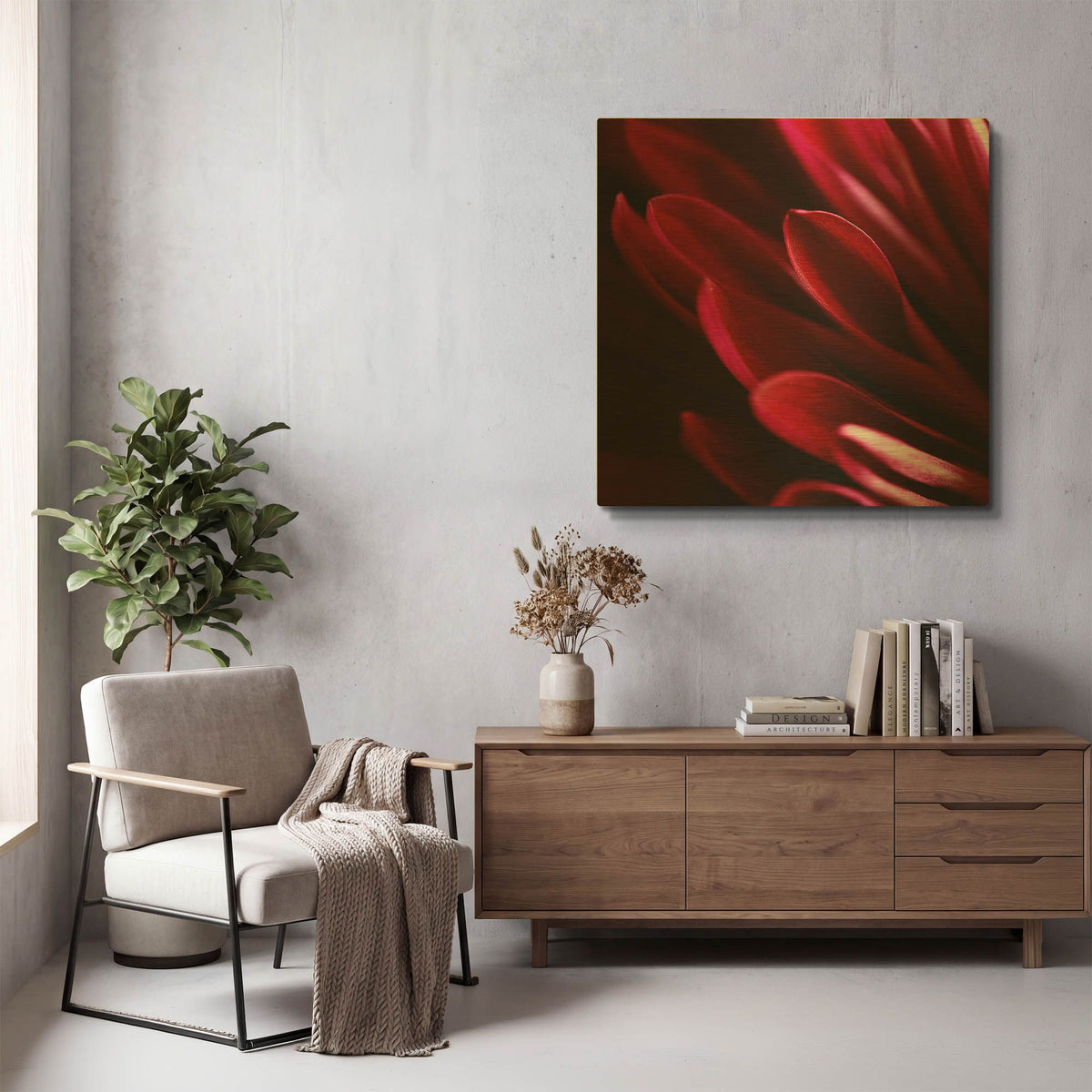 'Red Chrysanthemum Close up 01' By Tom Quartermaine Gold Metal Wall Art