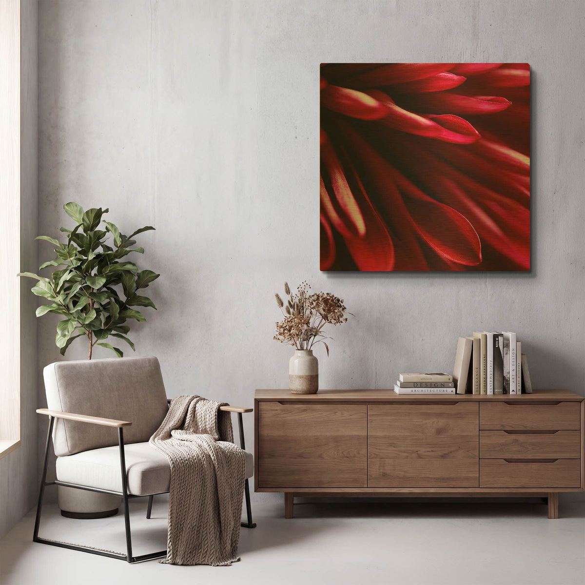 'Red Chrysanthemum Close up 02' By Tom Quartermaine Gold Metal Wall Art
