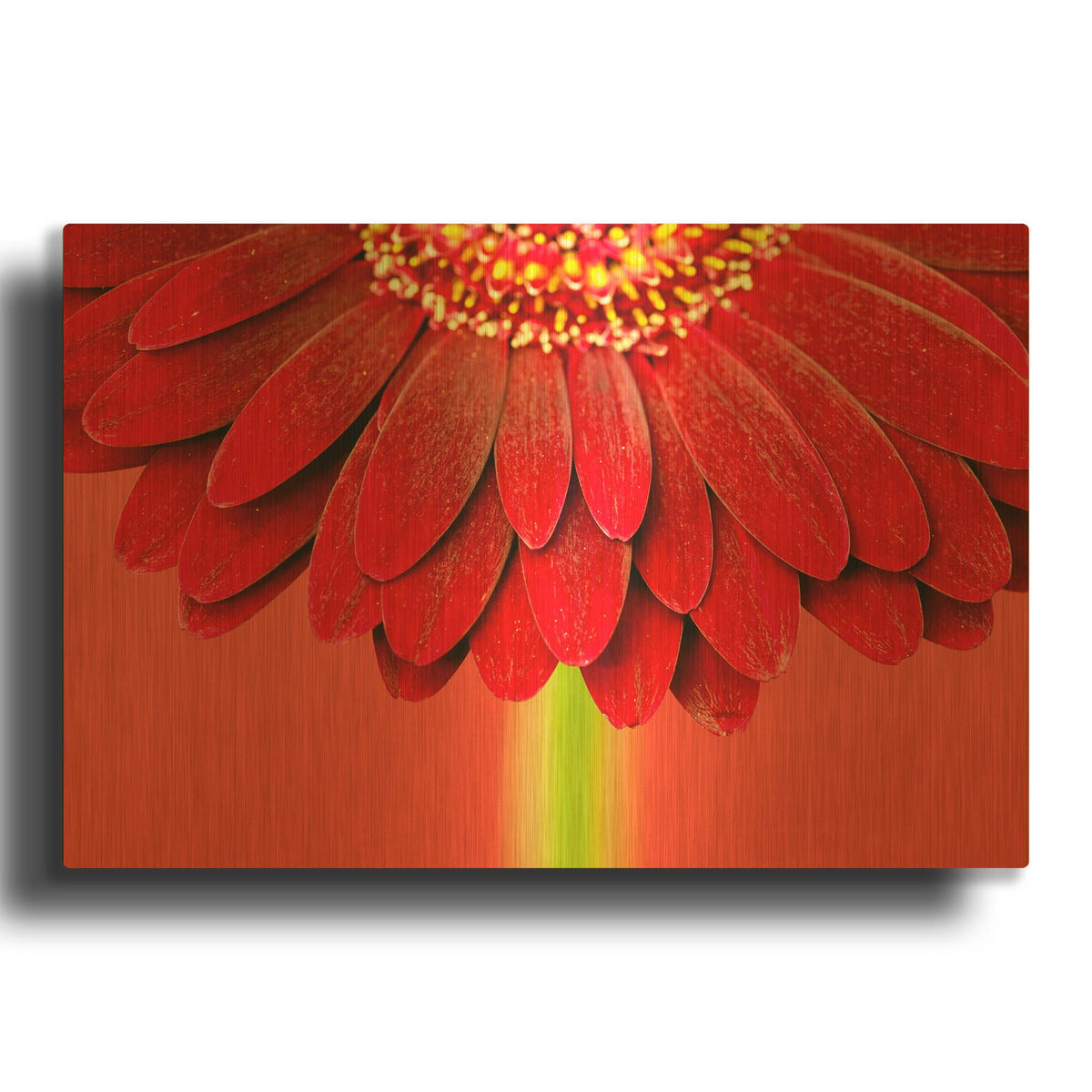 'Red Gerbera on Red 04' By Tom Quartermaine Gold Metal Wall Art